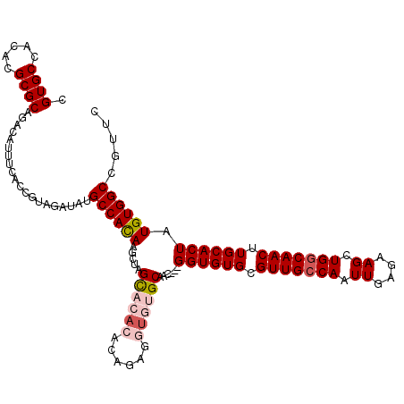 secondary structure