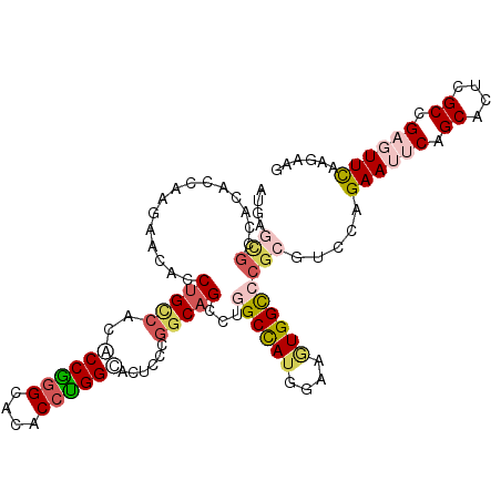 secondary structure