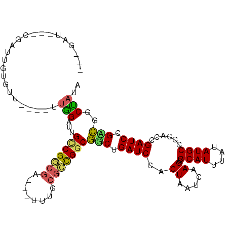 secondary structure