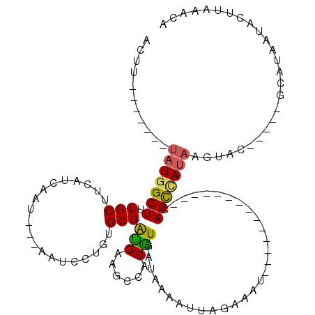 secondary structure