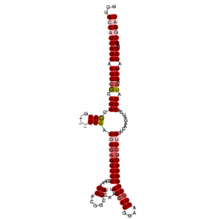 secondary structure