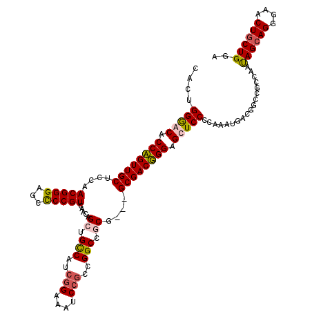 secondary structure