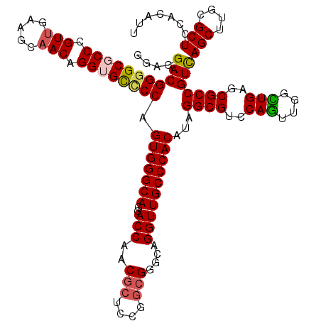 secondary structure