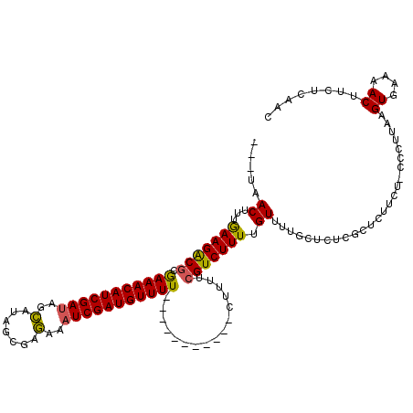 secondary structure