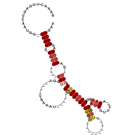 secondary structure