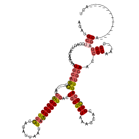 secondary structure