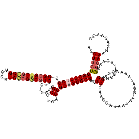 secondary structure