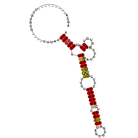 secondary structure