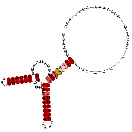 secondary structure