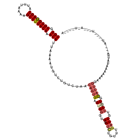 secondary structure