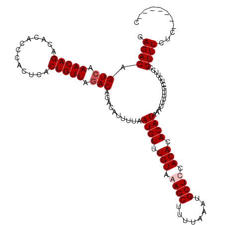 secondary structure