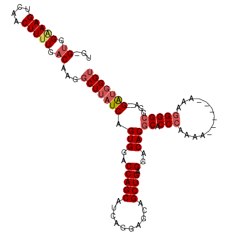 secondary structure