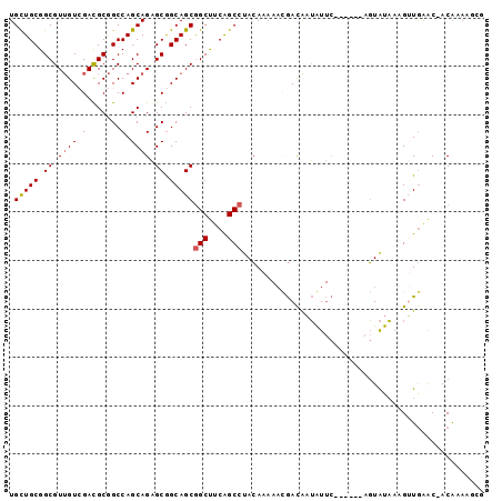 dotplot
