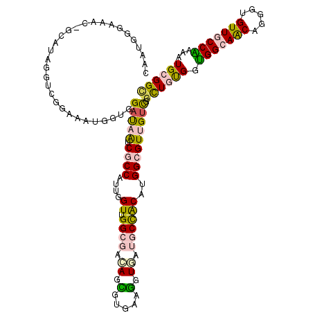 secondary structure