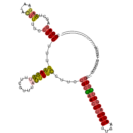 secondary structure