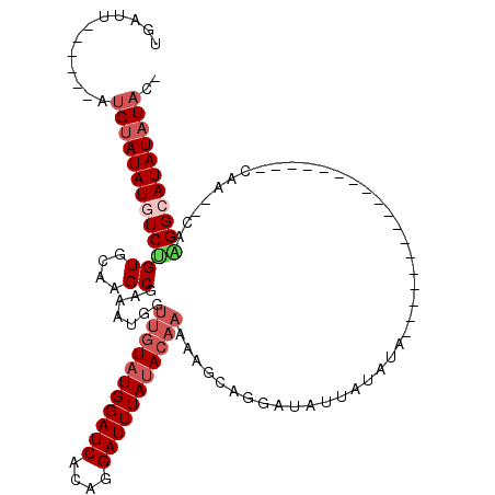 secondary structure