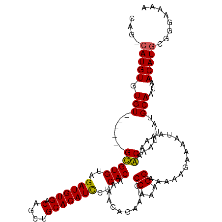 secondary structure