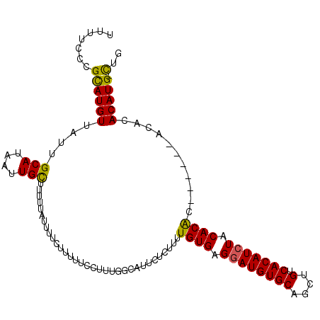 secondary structure