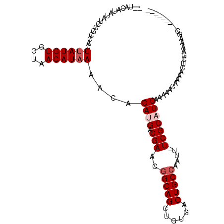 secondary structure