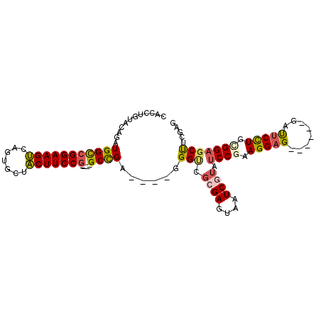 secondary structure