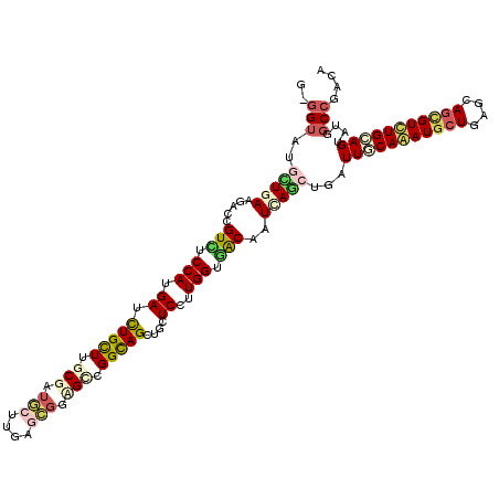 secondary structure