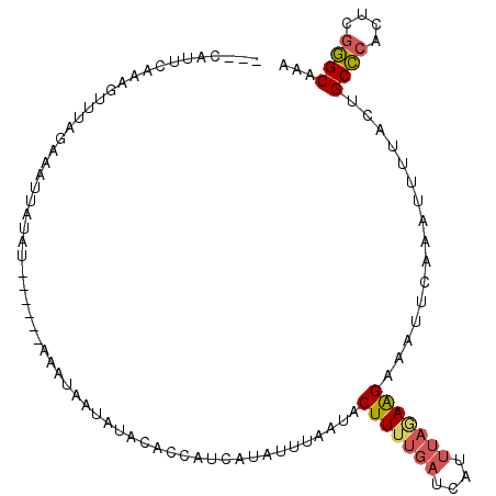 secondary structure