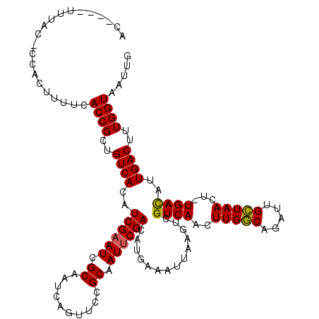 secondary structure