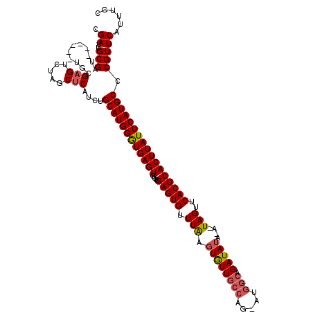secondary structure