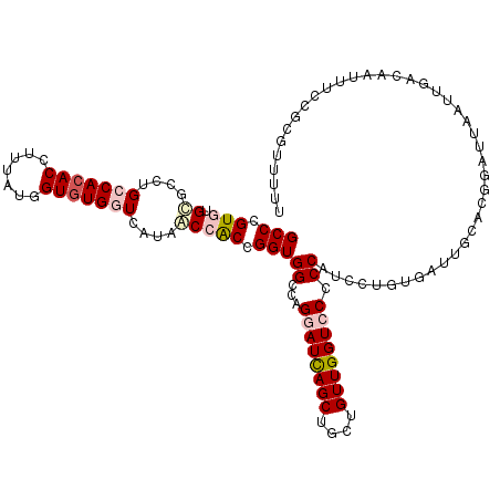 secondary structure