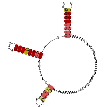 secondary structure