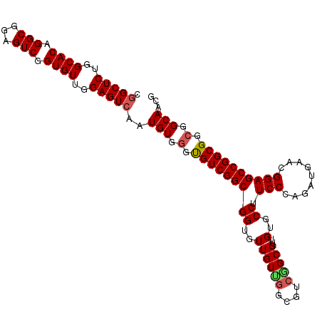 secondary structure