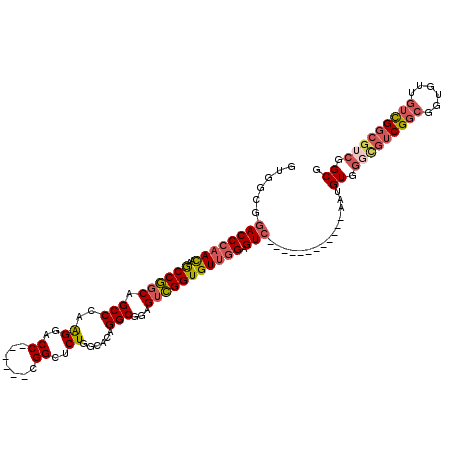 secondary structure