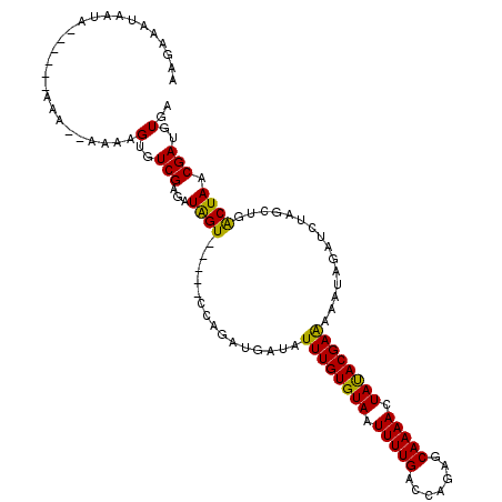 secondary structure