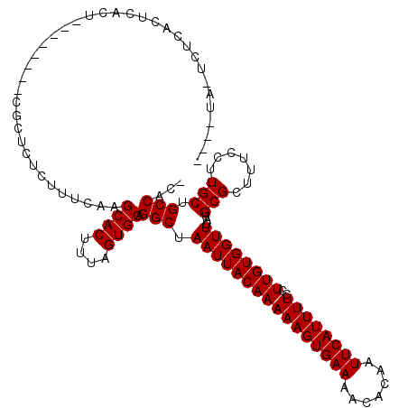 secondary structure