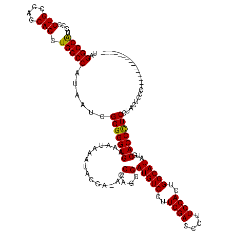 secondary structure