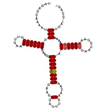 secondary structure