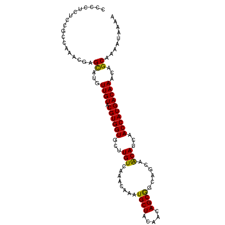 secondary structure