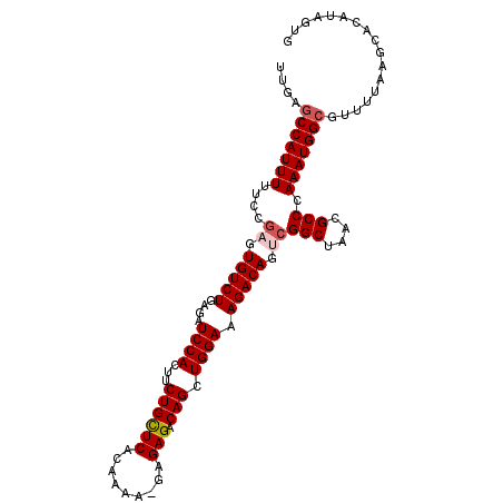 secondary structure