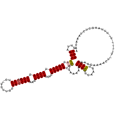 secondary structure