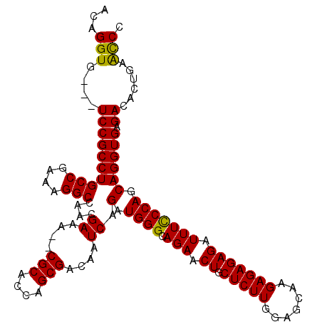 secondary structure