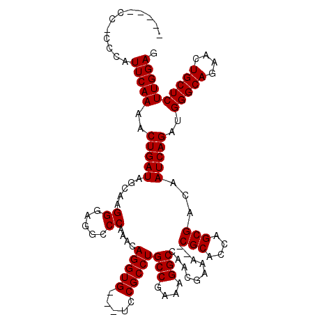 secondary structure