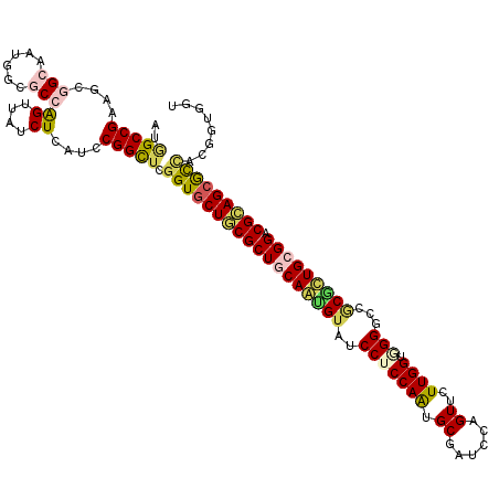 secondary structure