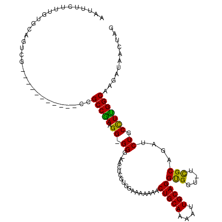 secondary structure