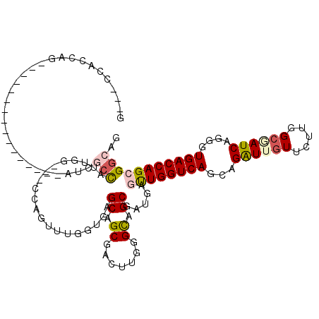 secondary structure