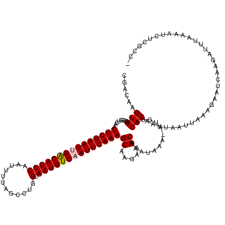 secondary structure