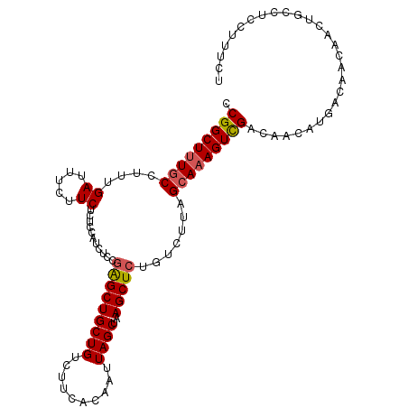 secondary structure