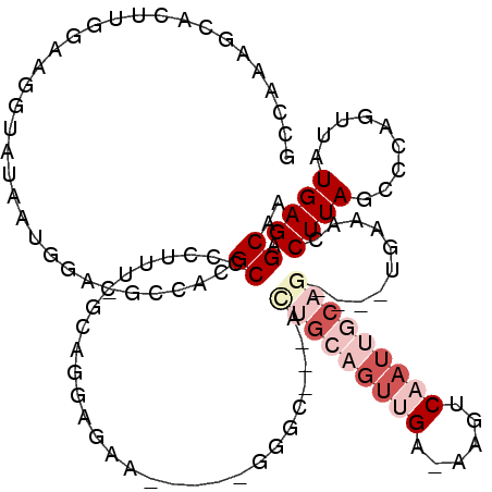 secondary structure