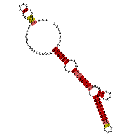 secondary structure