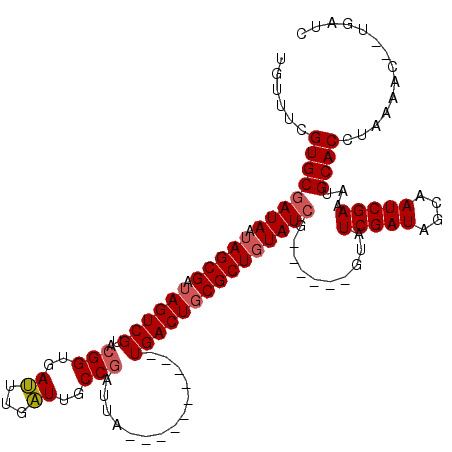 secondary structure