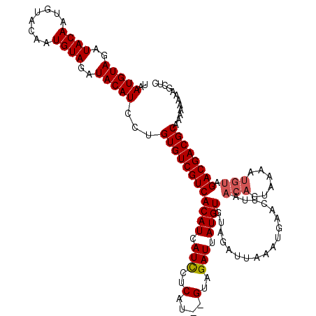 secondary structure